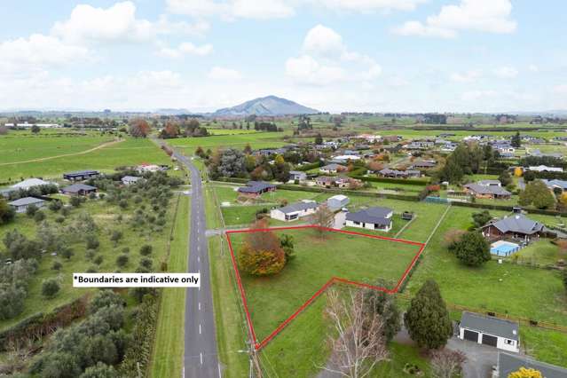 1/867 Frontier Road Pirongia_2