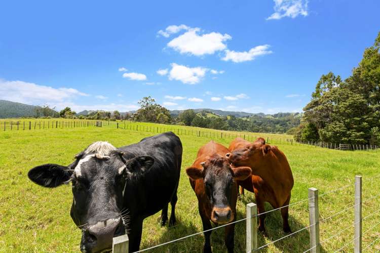 115 Hawkens Road Makarau_20