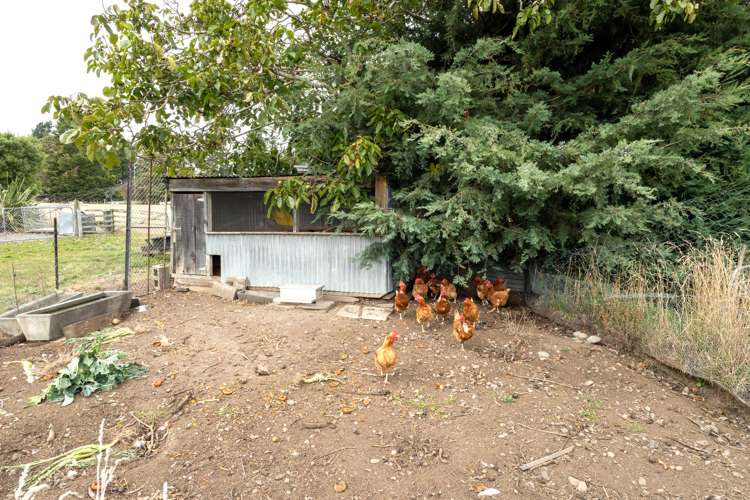 9 Mitcham Road Allenton_25