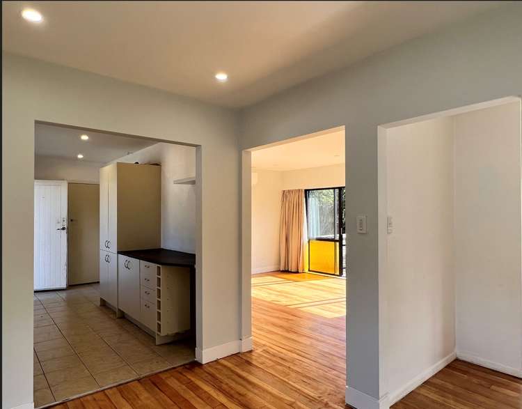 5 Puriri Street Miramar_7