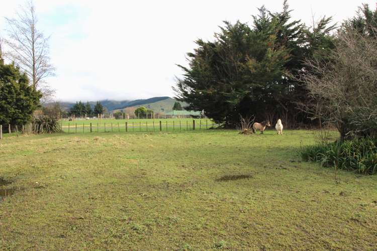 36 Fergusson Street Woodville_3