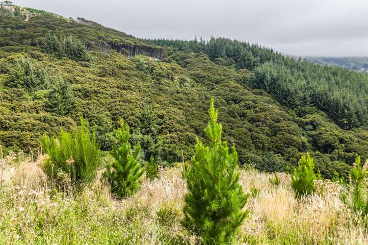 226 Middle Road Pigeon Bay_9