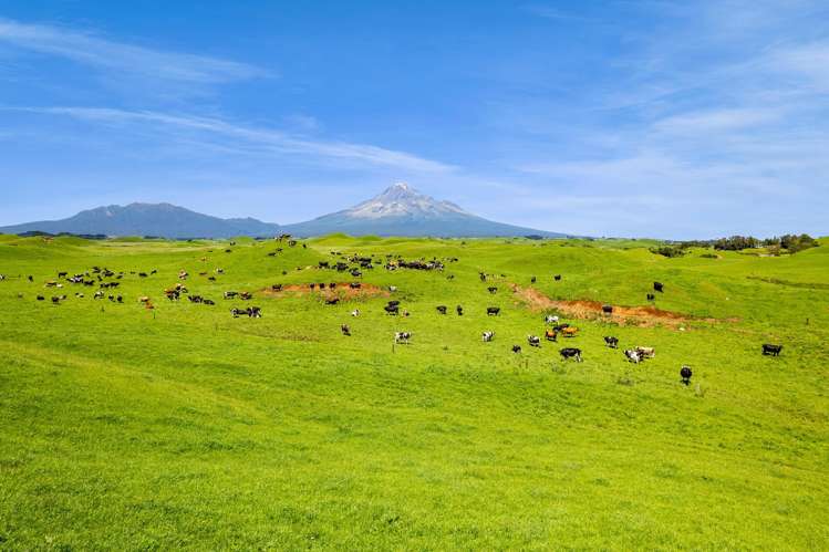 507/537 Parihaka Road Pungarehu_2