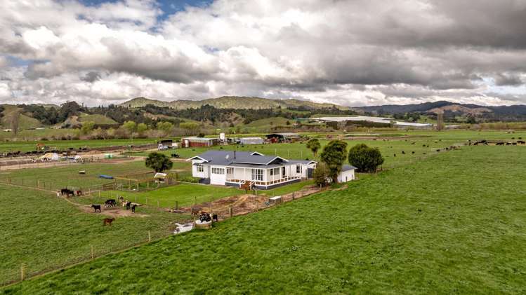 Brooklyn Farm, 126 McGinley Road Opotiki_7