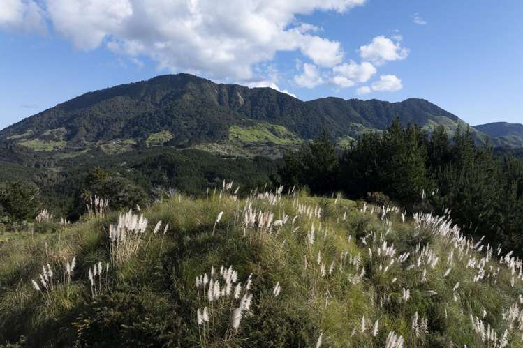 Lot 3 and 4/169 Tunatahi Road Panguru_14