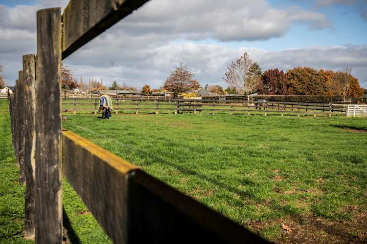 2/101 Racecourse Road Cambridge_18