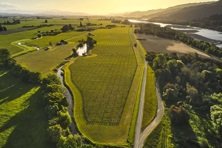 212 Selmes Road Rapaura_20