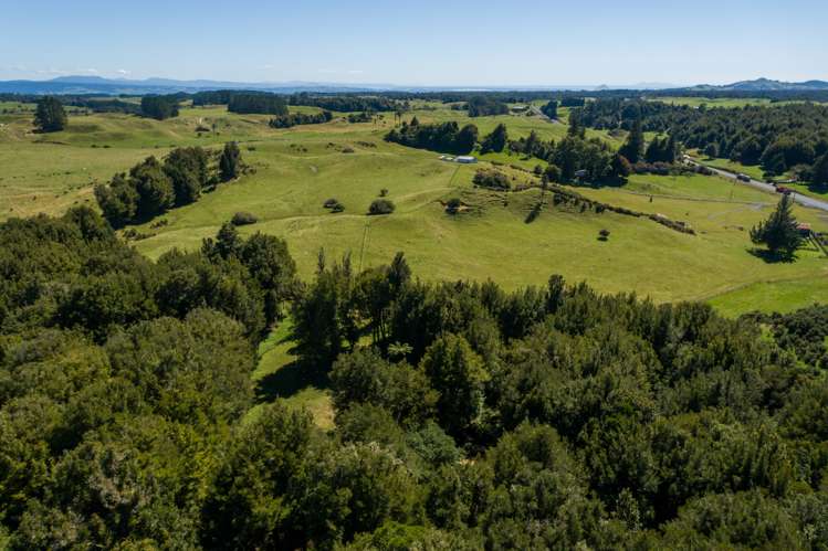 2140 Pyes Pa Road Kaimai_5