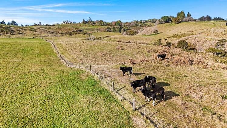 110 Ross Road and 20 Laurel Drive Whakamarama_20
