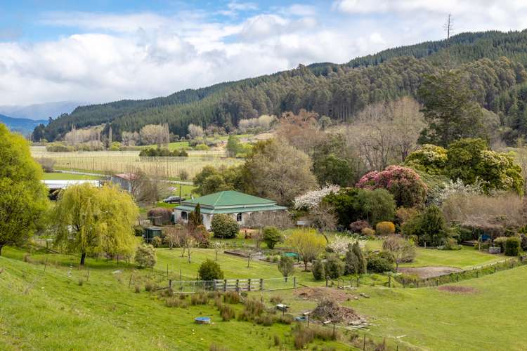 Tadmor Valley Road Tapawera_5