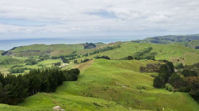 20ha,/664B Kairakau Road Elsthorpe_3