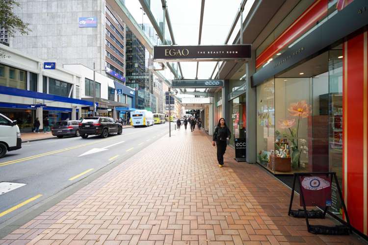 41 Willis Street Central Wellington Central_1