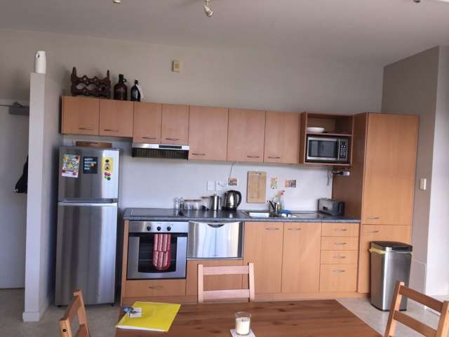 4b/130 Vivian Street Te Aro_3