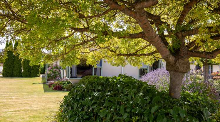 6 Orchard Drive Alexandra_26