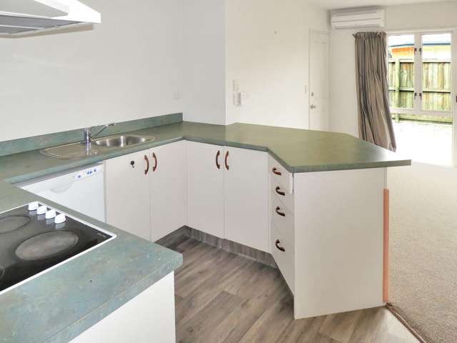 3/91 Peverel St Riccarton_2