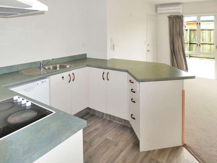 3/91 Peverel St Riccarton_2