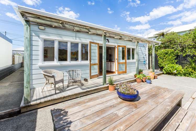 18 Mills Road Brooklyn_1