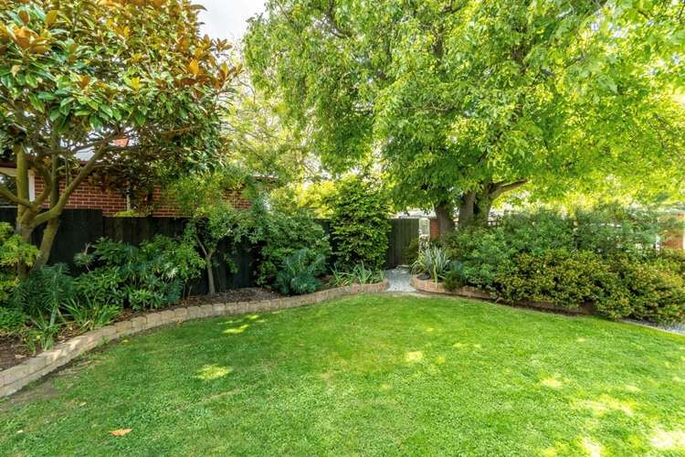 24 Ventry Street Alexandra_15