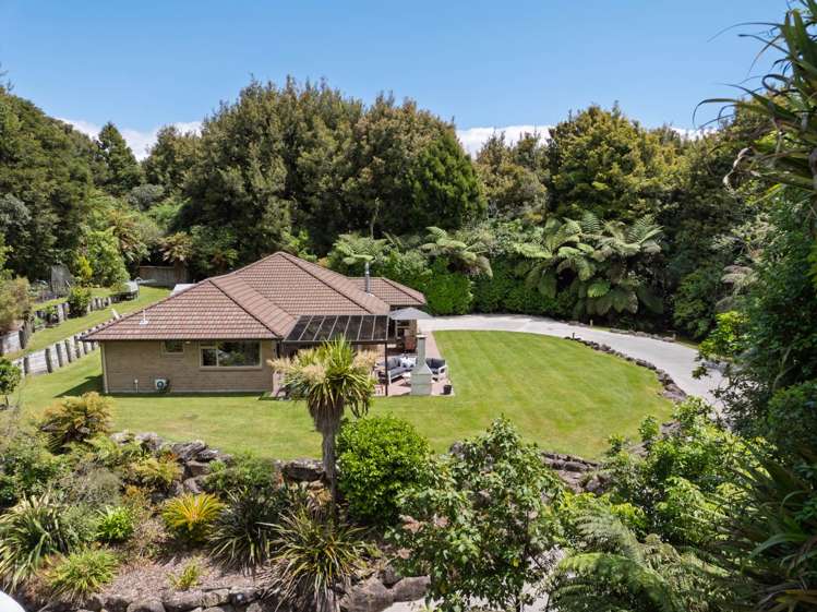 762A Whakamarama  Road Whakamarama_34