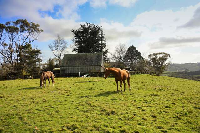 605 Whitford-Maraetai Road Beachlands_2