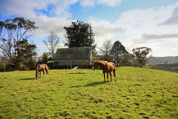 605 Whitford-Maraetai Road_0