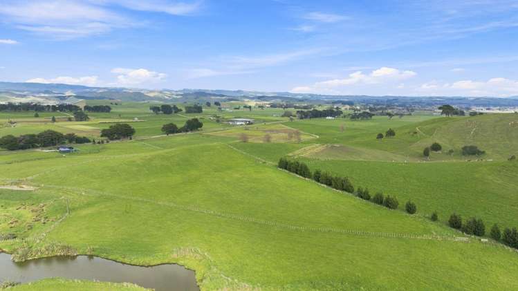 447 Pinfold Road Papatawa_5
