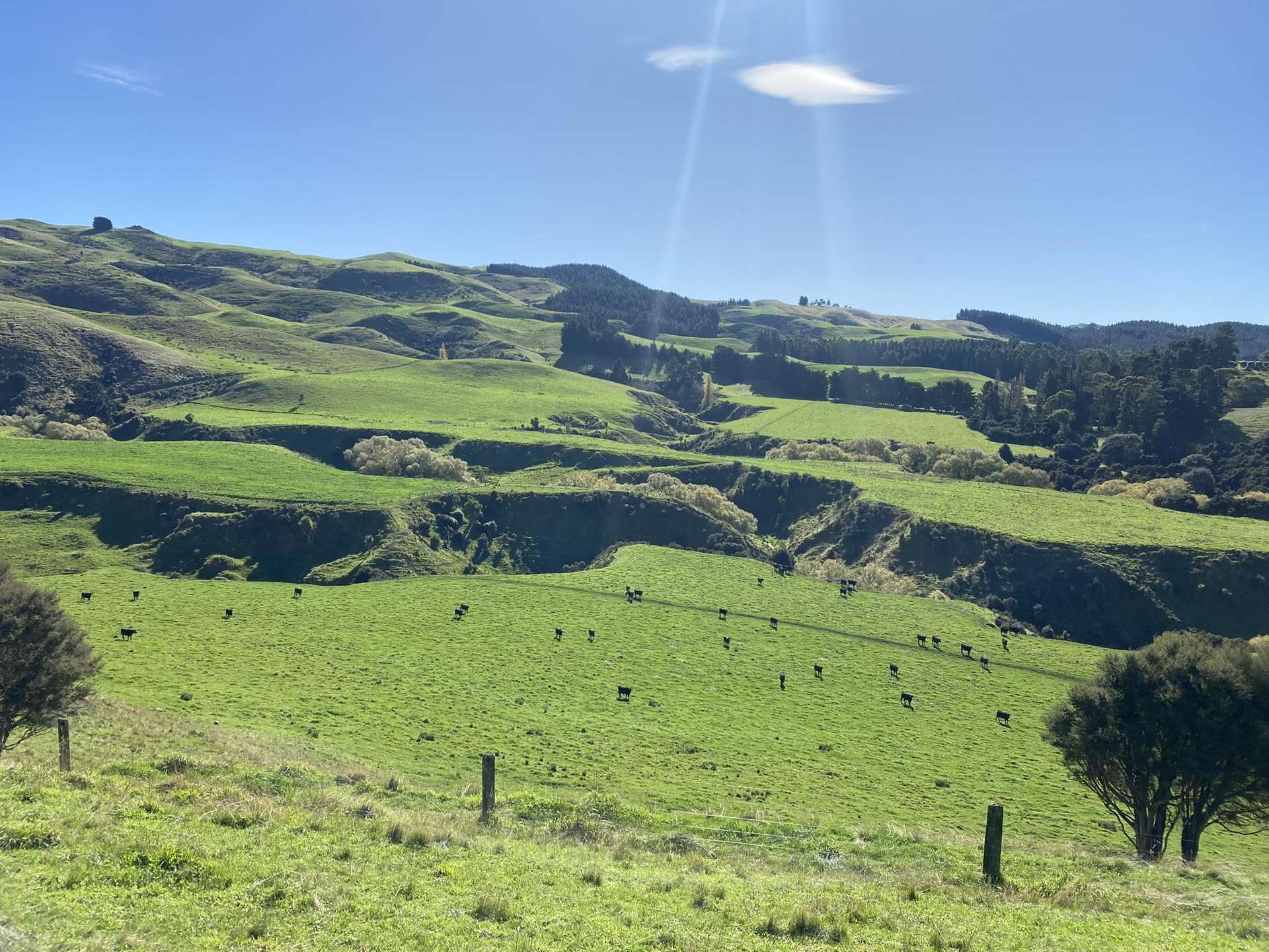 48 Heathfield Road Waipara_0