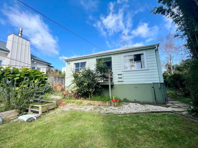 14 Barrie Street Freemans Bay_1