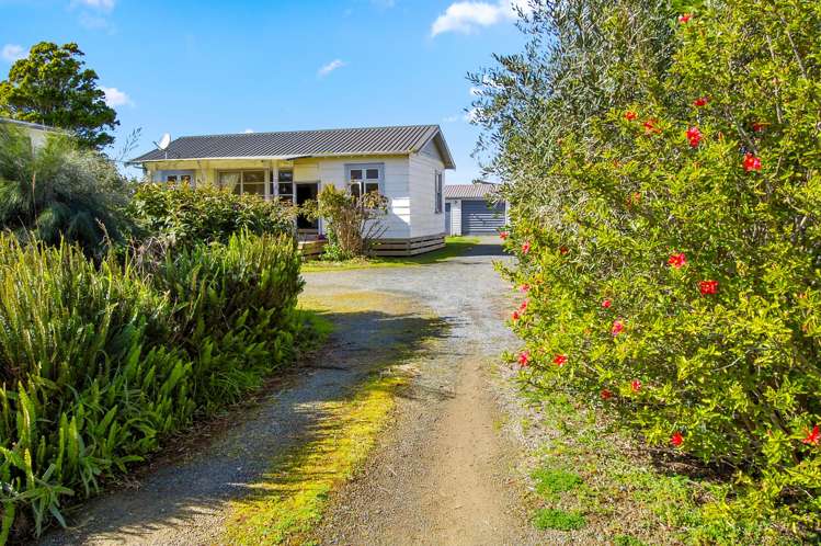 26 Pearson Street Mangawhai_8