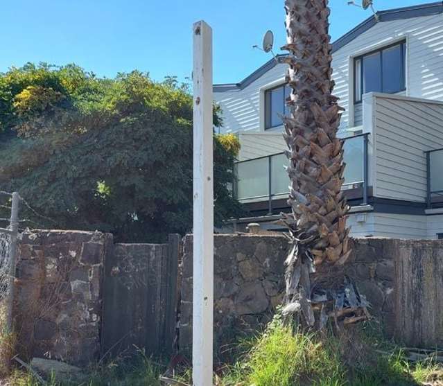 35 Cotesmore Way Parnell_3