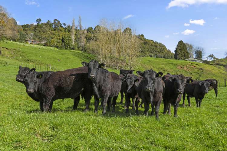 80 Queen Street Te Kuiti_12