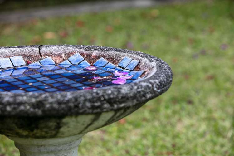 2A Blundell Place Katikati_16