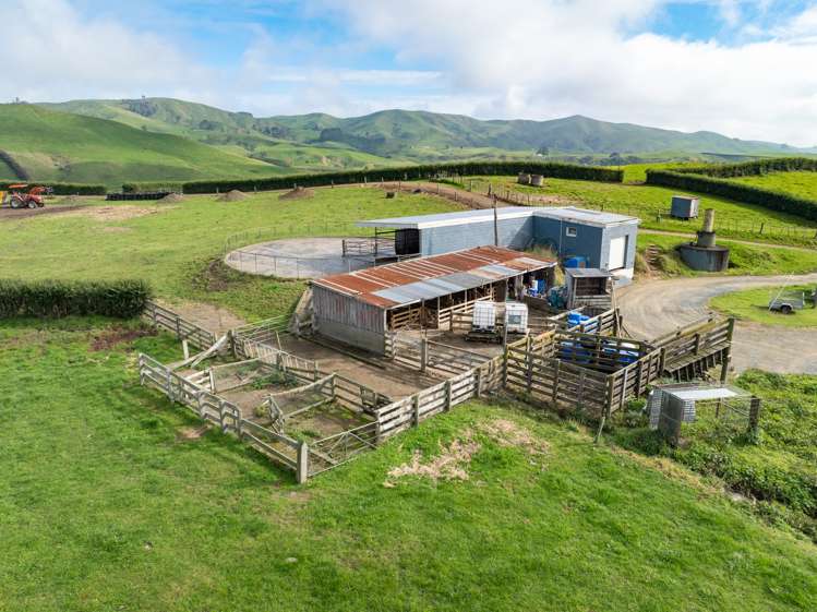 376 Starkey Road Morrinsville_10