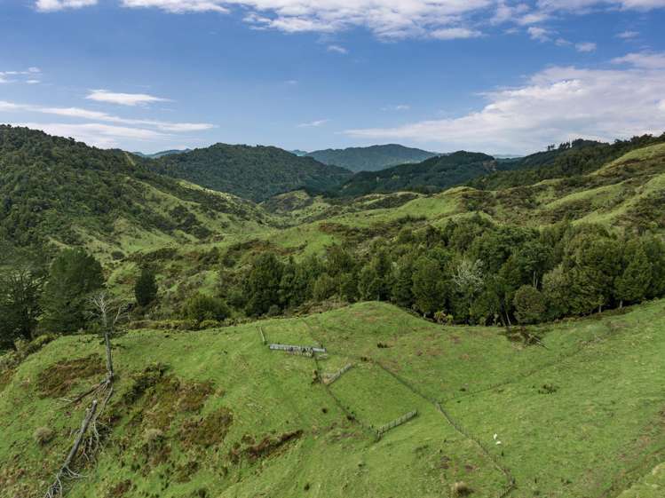 284 McCarthy Road Opotiki_11