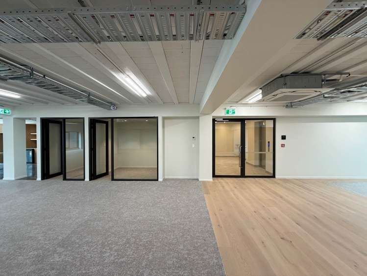 11-13 Falcon Street Parnell_3