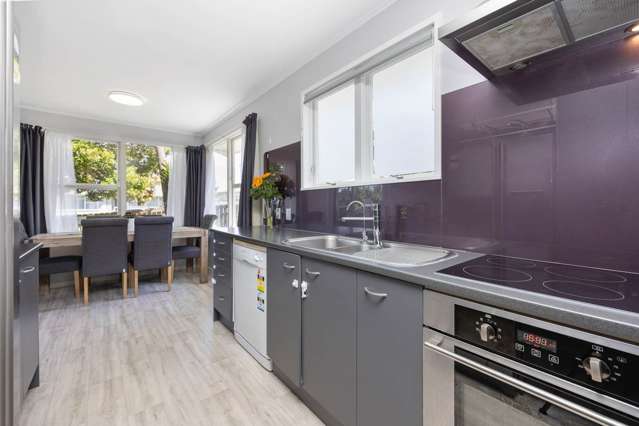 46 Helena Street Massey_3