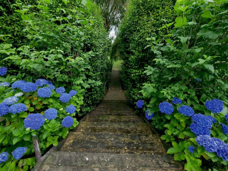 47 Lloyd Road Riverhead_26