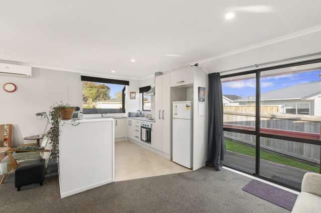 19a Victoria Street Levin_3