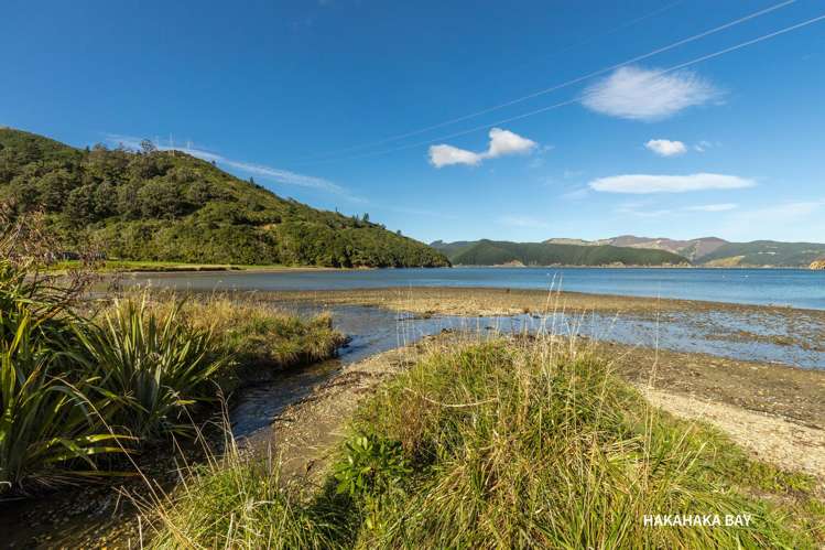 2 Hakahaka Road Port Underwood_32