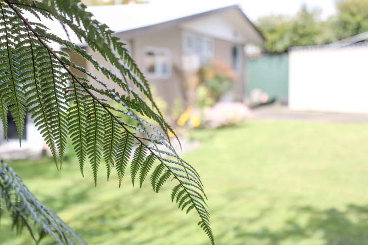 29 Argyle Avenue Levin_14