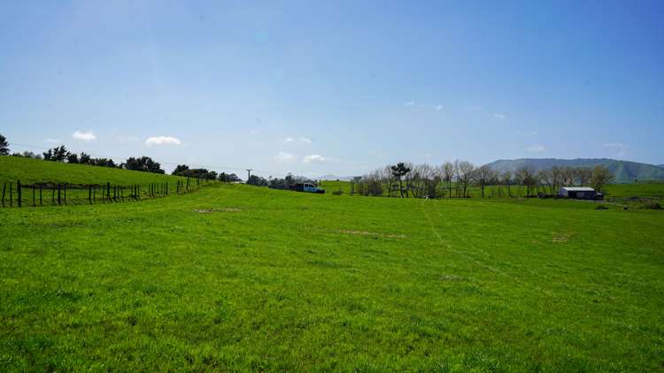 304b Waiterimu Road Waiterimu_8