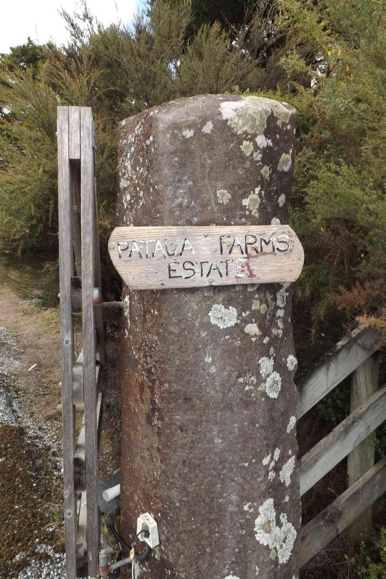 405 Campbell Road Parua Bay_8