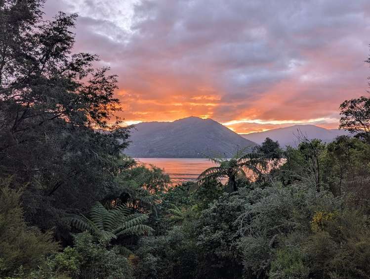 1744 Kaiuma Bay Road Kaiuma Bay_18