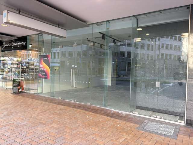 Ground 3/152 Lambton Quay Wellington Central_1