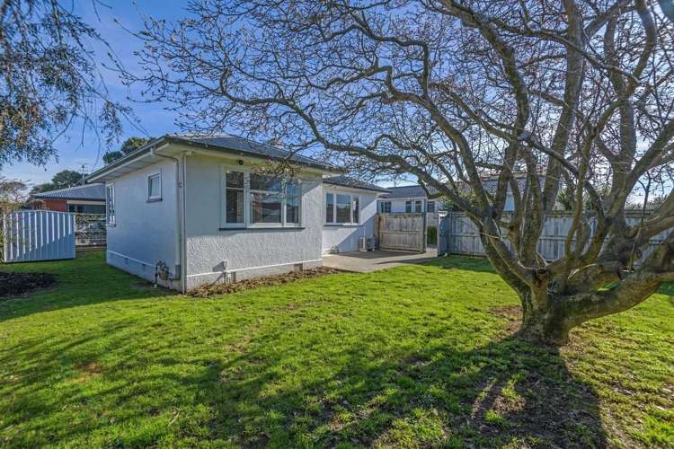 56 Shamrock Street Takaro_5