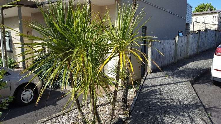 37/92 Bush Road Albany_8