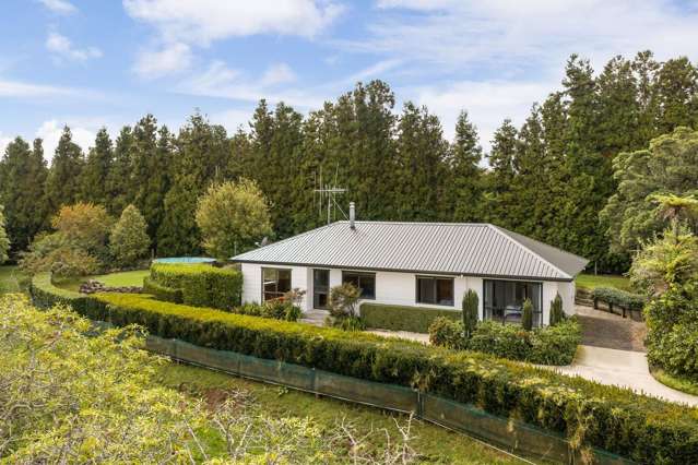 228A Lockington Road Katikati_2