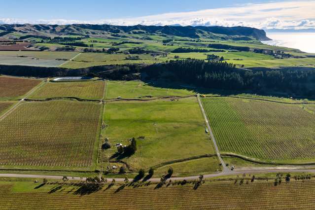 Large Scale Vineyard Opportunity.....