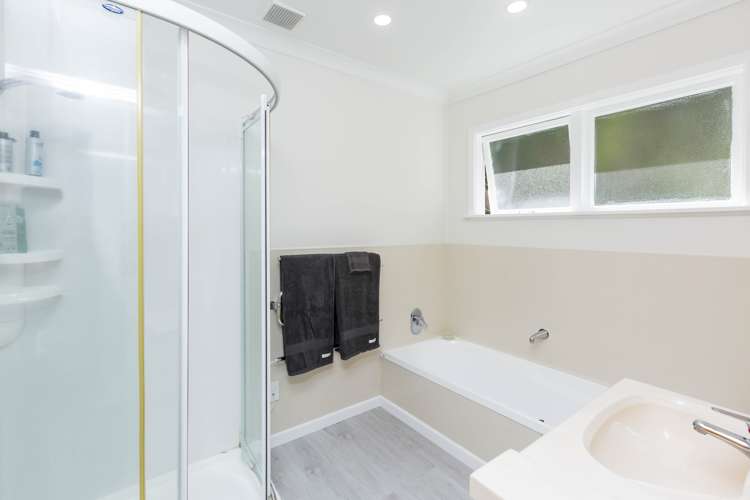 4 Dawn Grove Brown Owl_9