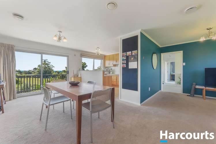 142 Higgs Road Mapua_5